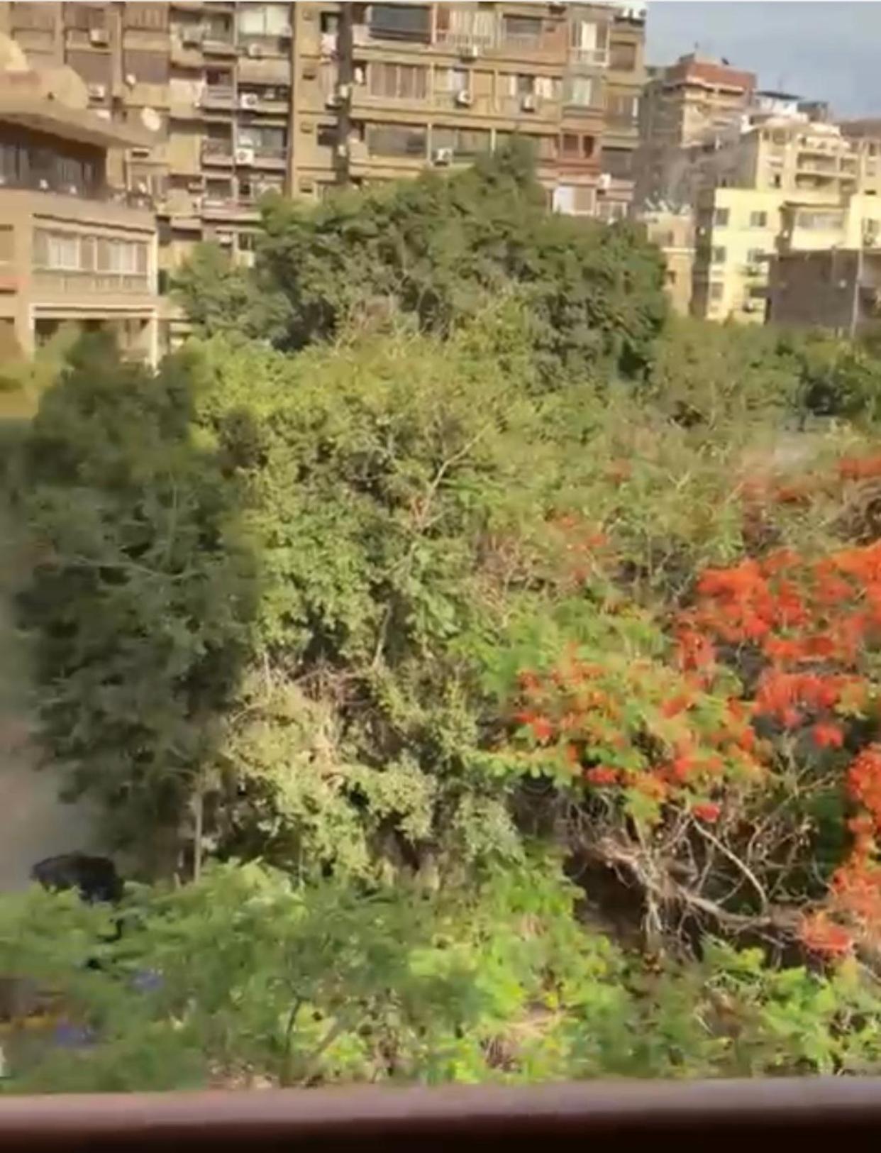 Apartment شهاب بالمهندسين *
